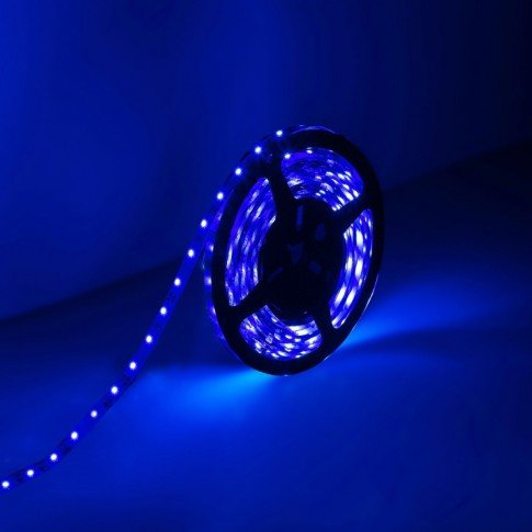 TAŚMA LED/ LED STRIP 5M
