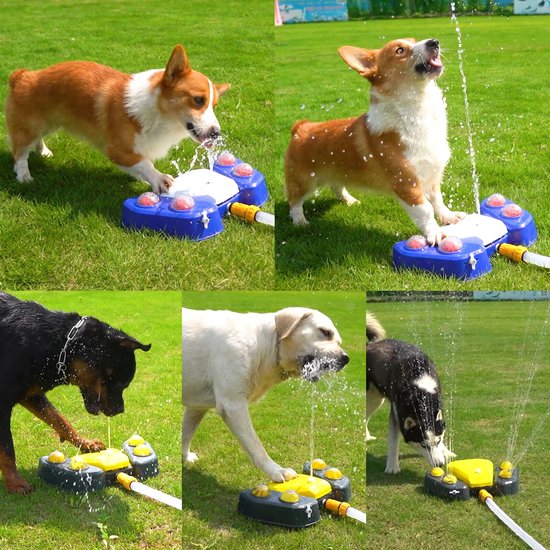 427-Y : Fontanna /Dog water fontain Yellow