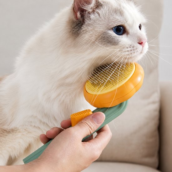 3010 : Self-Cleaning Pet Grooming Brush