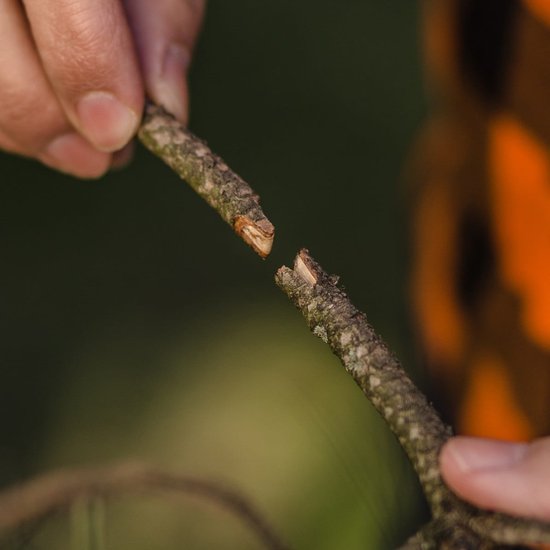 058 : SEKATOR DO SZCZEPIENIA/ Garden tools Secateurs
