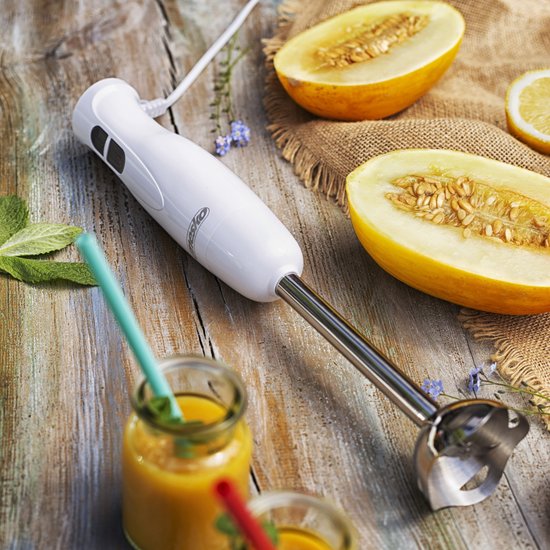 MS 4619 : Mesko Blender hand