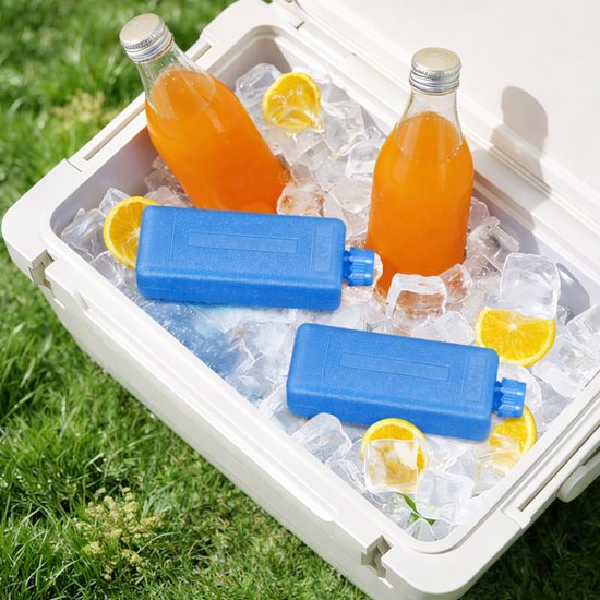 2185 : Plastic freezer ice blocks for cooler bags