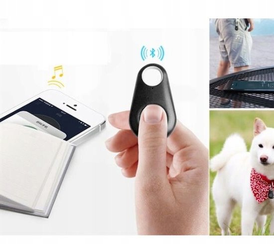 117-1 : KLUCZ BLUETOOTH PIES kolor czarny/BLUETOOTH GPS KEY DOG black
