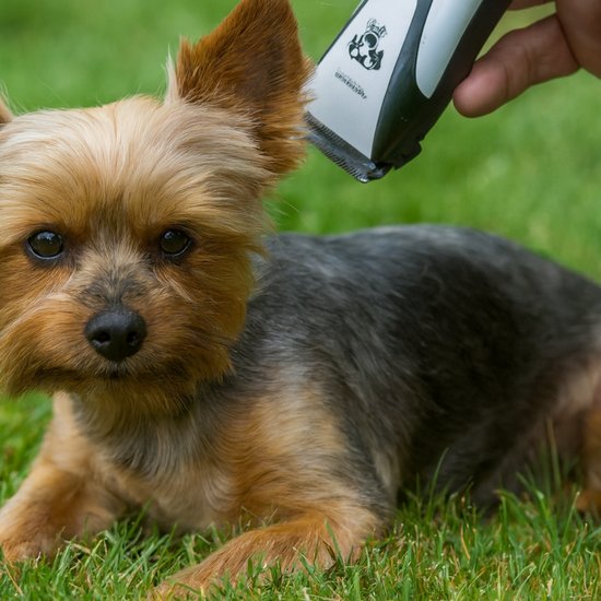 220 : ZESTAW DO STRZYŻENIA SIERŚCI ZWIERZĄT / ANIMAL HAIR CLIPPER SHAVER SET DOGS CATS