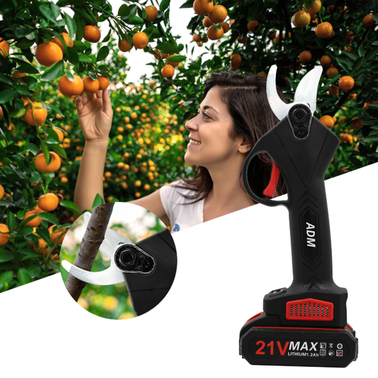 466 : SEKATOR/PRECAUTER