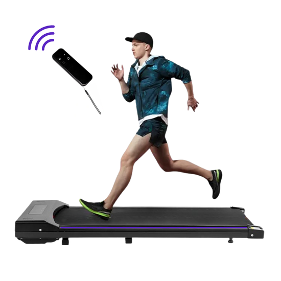 538 : Bieżnia/ Treadmil