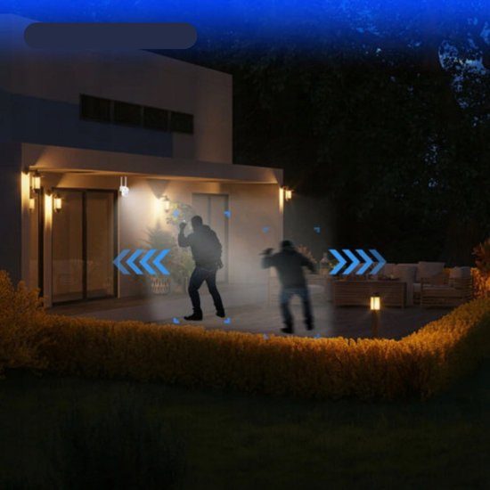 2271 : WiFi IP66 Smart camera