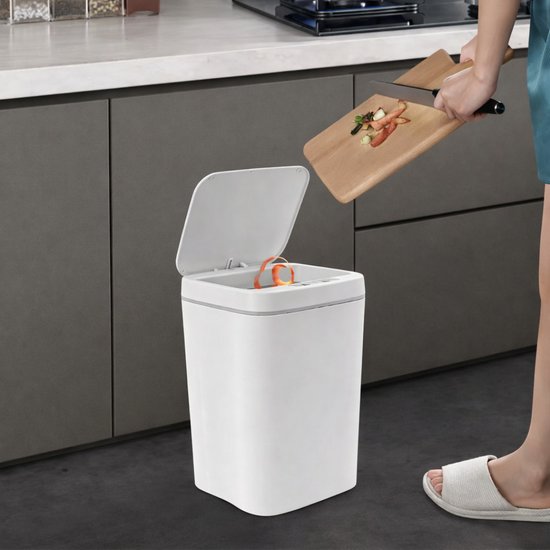 2268 : Motion sensor trash bin