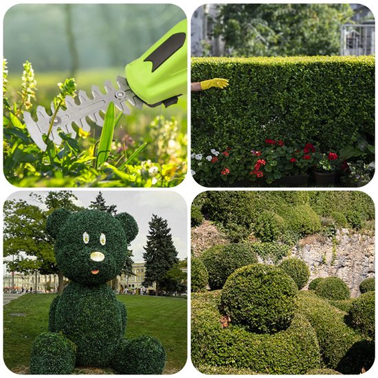 541 : Nożyce do trawy/ short scissors